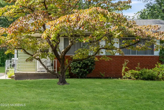 a view of a backyard