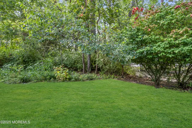 a view of a grassy field with trees