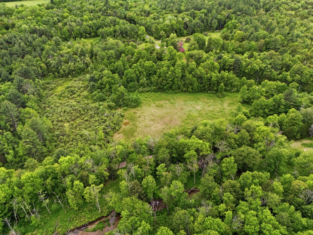 0 Capen/ Clark Road Worthington, MA 01098 - Photo 9 of 13