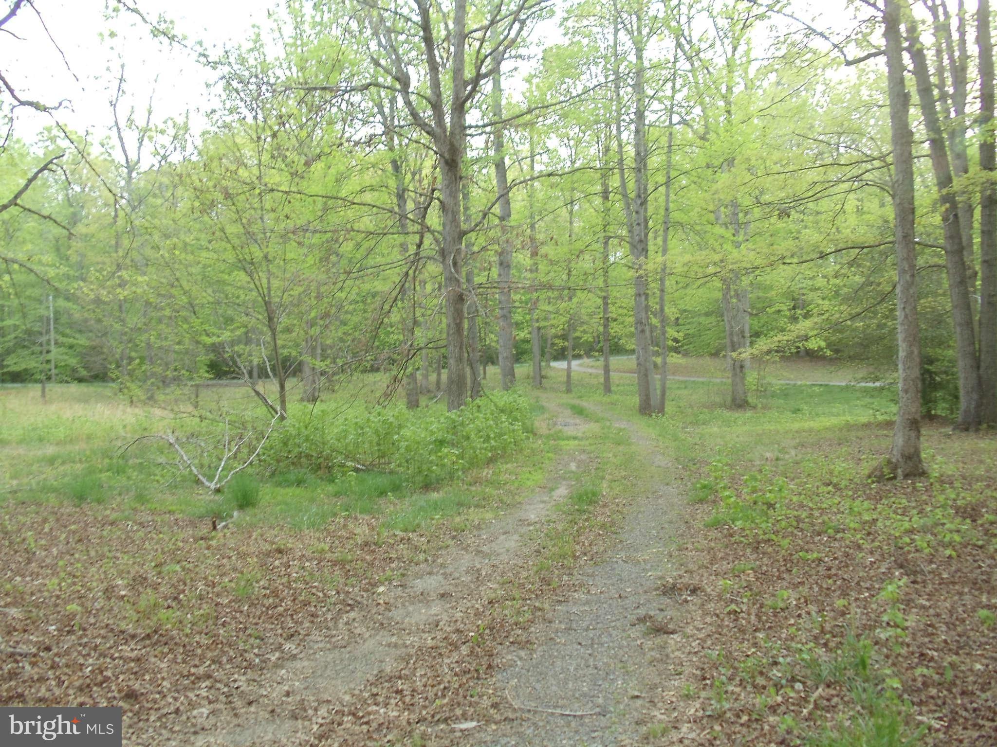 9725 Peppertree Road Spotsylvania, VA 22553 - Photo 5 of 6 View