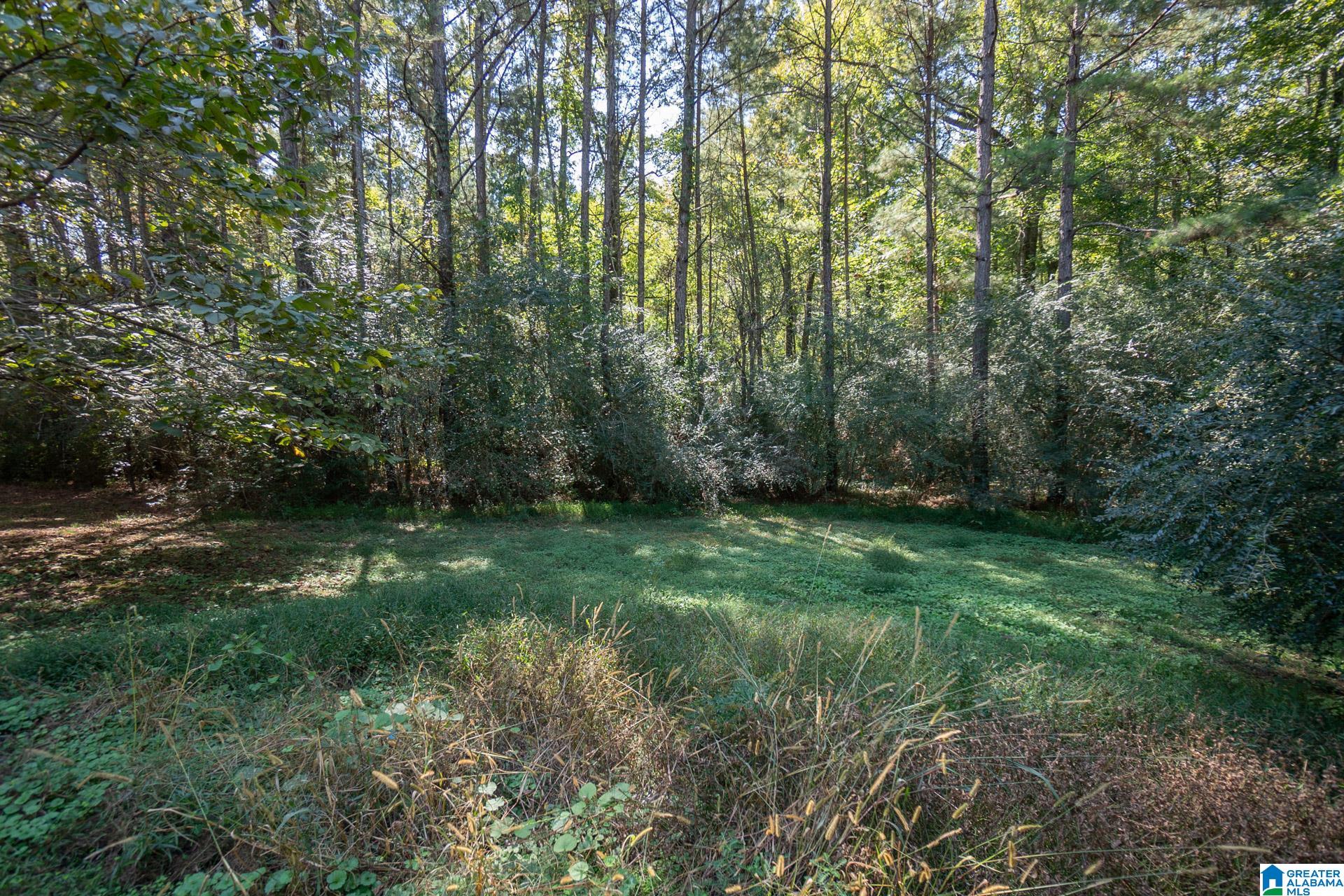 9204 Marsh Mountain Road Pinson, AL 35126 - Photo 47 of 56