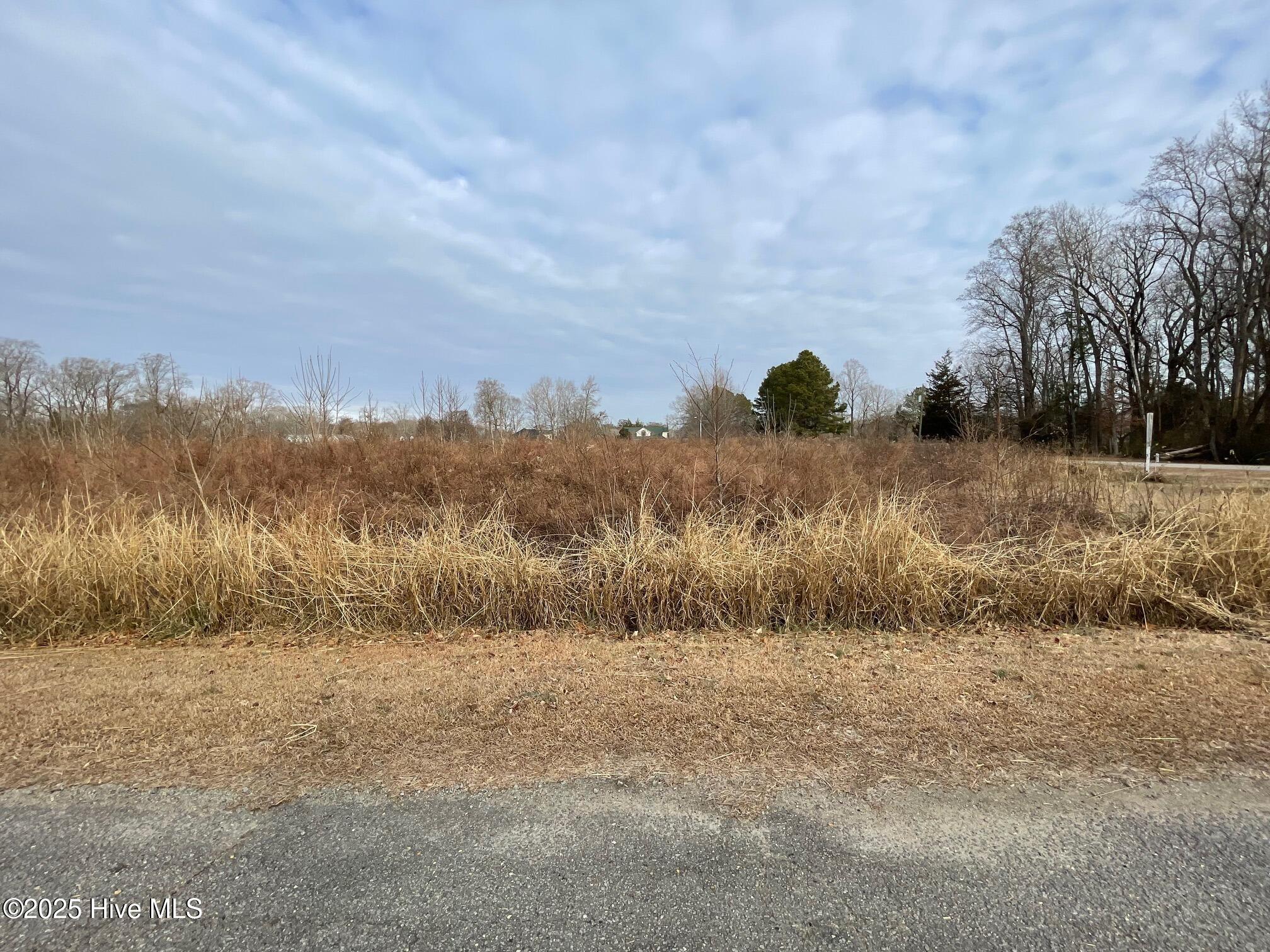 Recreation Old Ferry Road Harrellsville, NC 27942 - Photo 3 of 8 lots 2