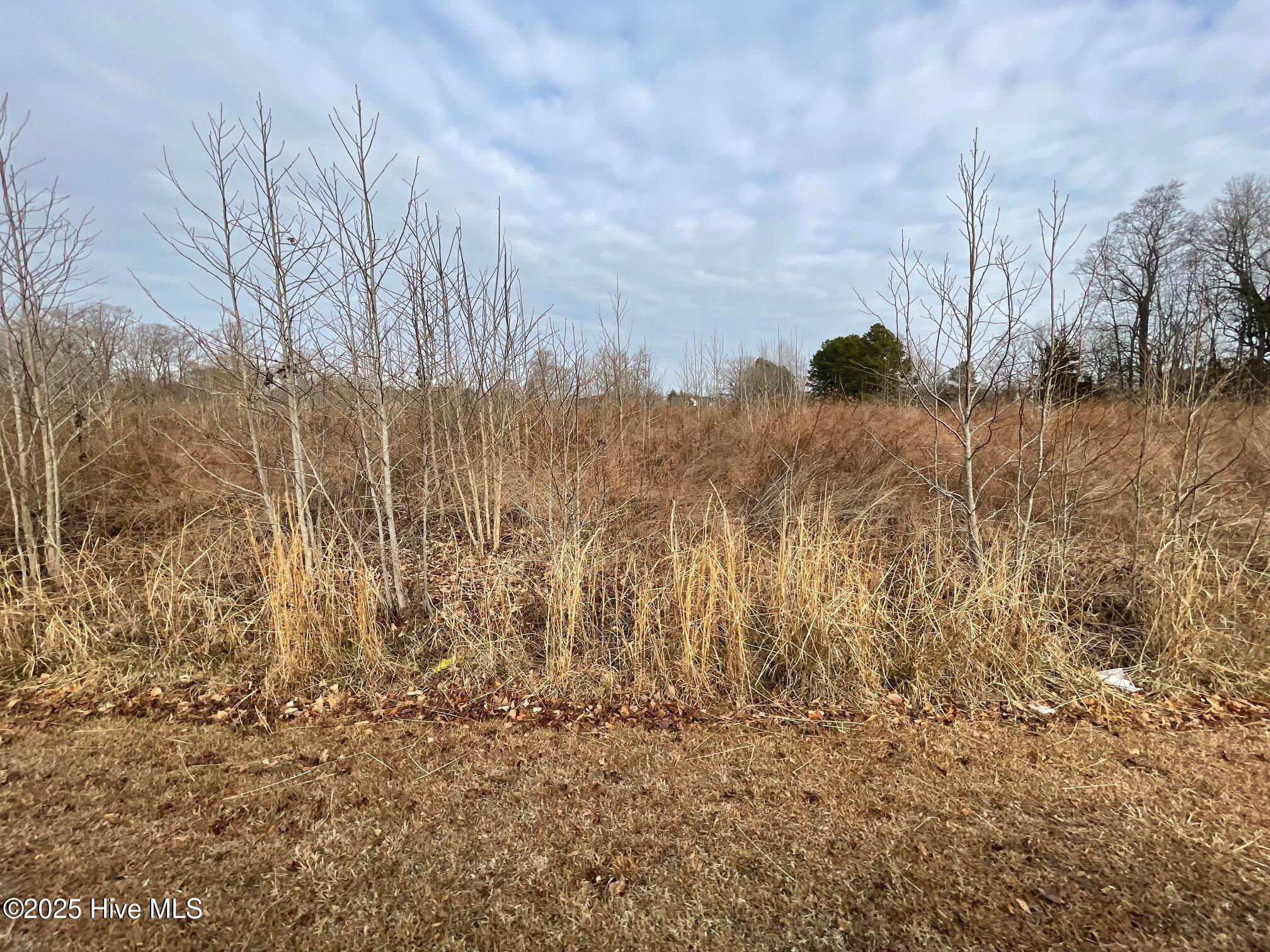 Recreation Old Ferry Road Harrellsville, NC 27942 - Photo 4 of 8 lots 3