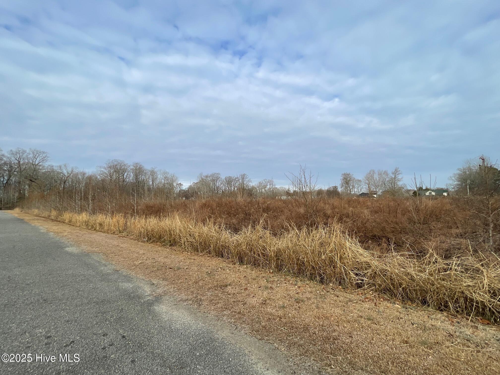 Recreation Old Ferry Road Harrellsville, NC 27942 - Photo 6 of 8 lots 5
