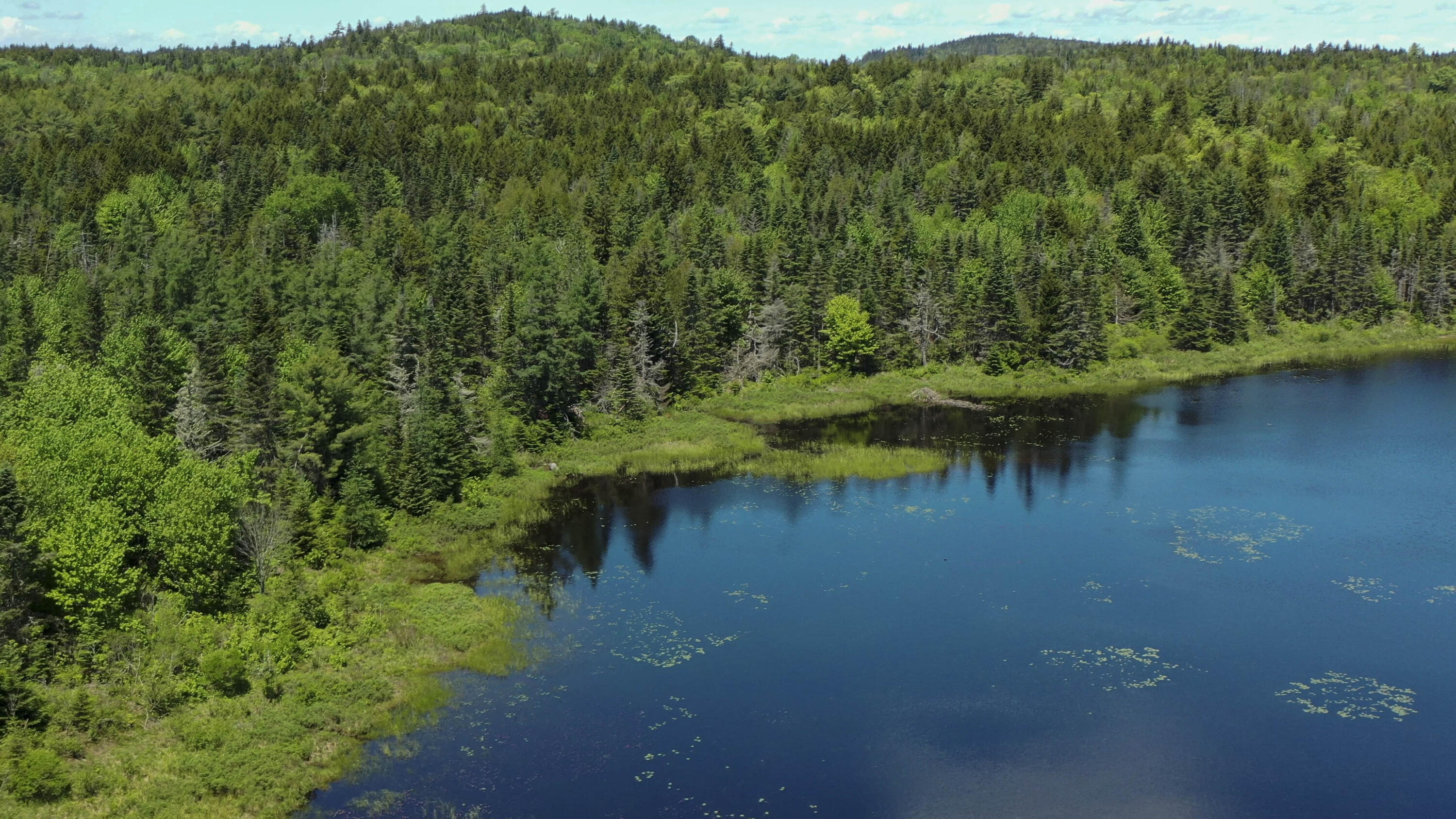 M7-l36 Dodge Road Whiting, ME 04691 - Photo 6 of 8 Orange River Lots Whiting Maine Moosehor