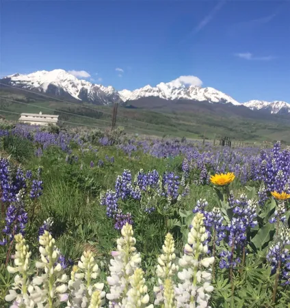 $1,999,900 | 1703 Elk Run Road, Silverthorne, CO 80498