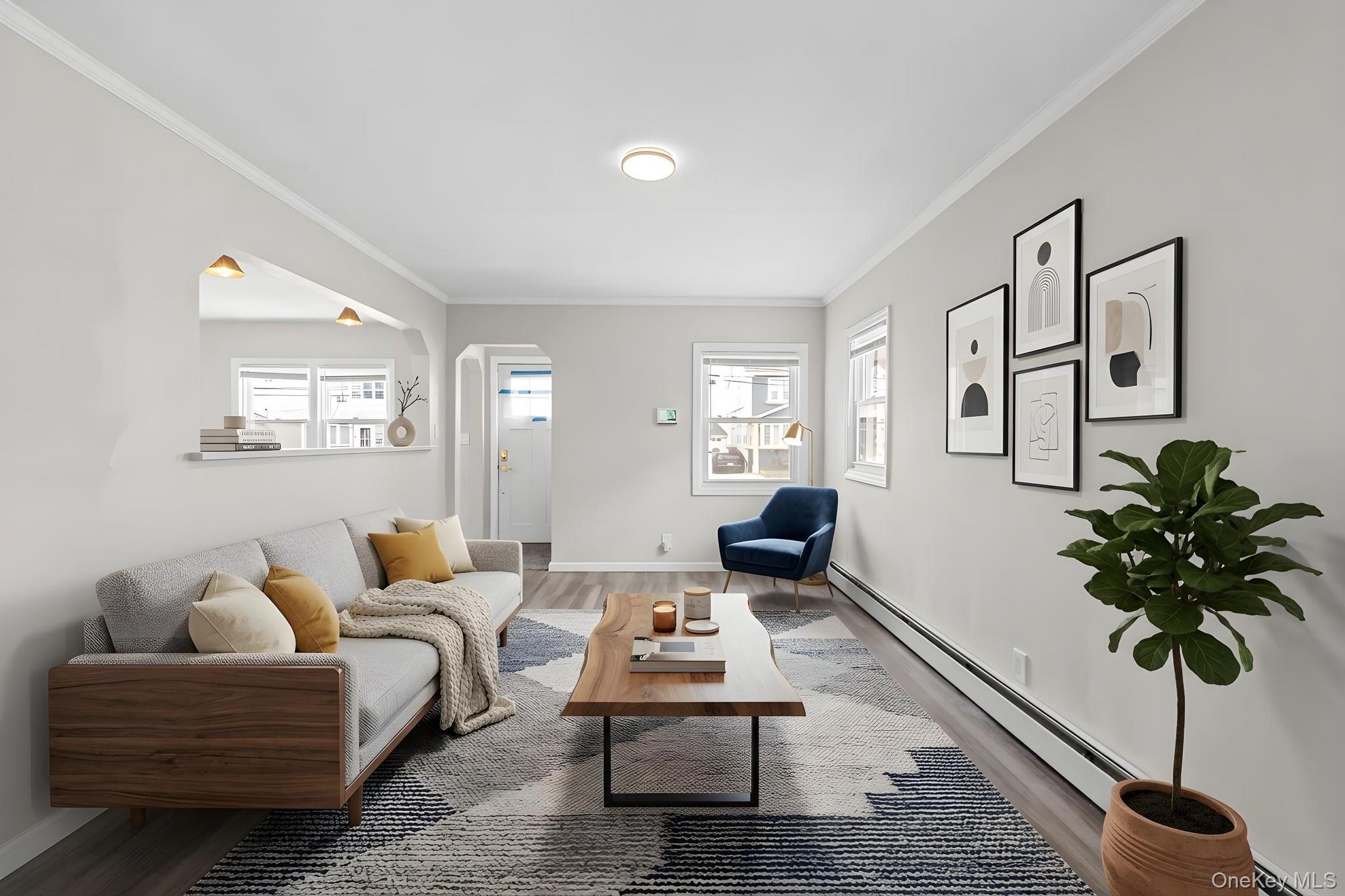 20 Dewitt Street Valley Stream, NY 11580 - Photo 2 of 13 a living room with furniture and a potted plant