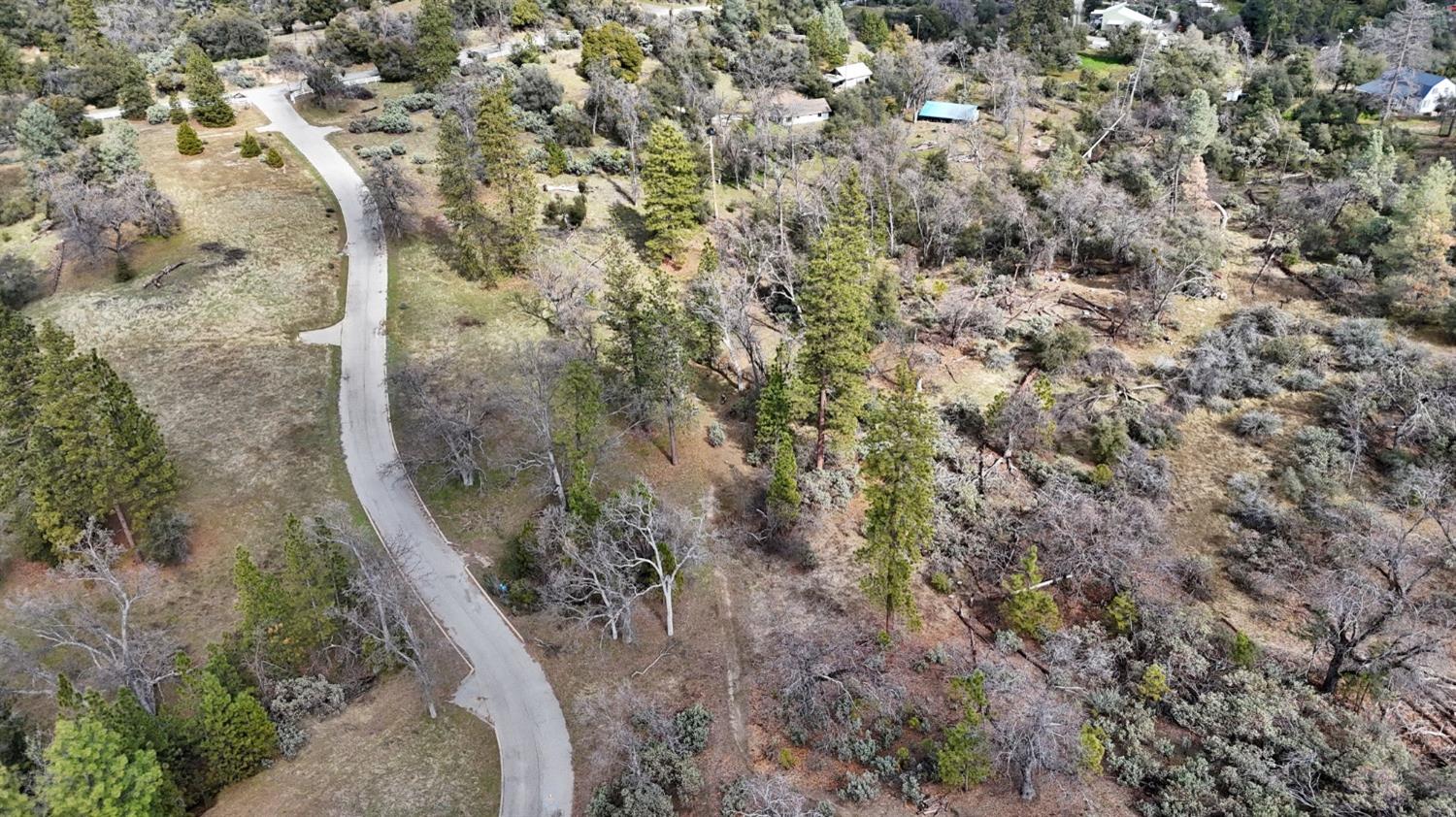 4 Lot 4 Hard Times Ranch Rd Fork North Fork, CA 93643 - Photo 8 of 9