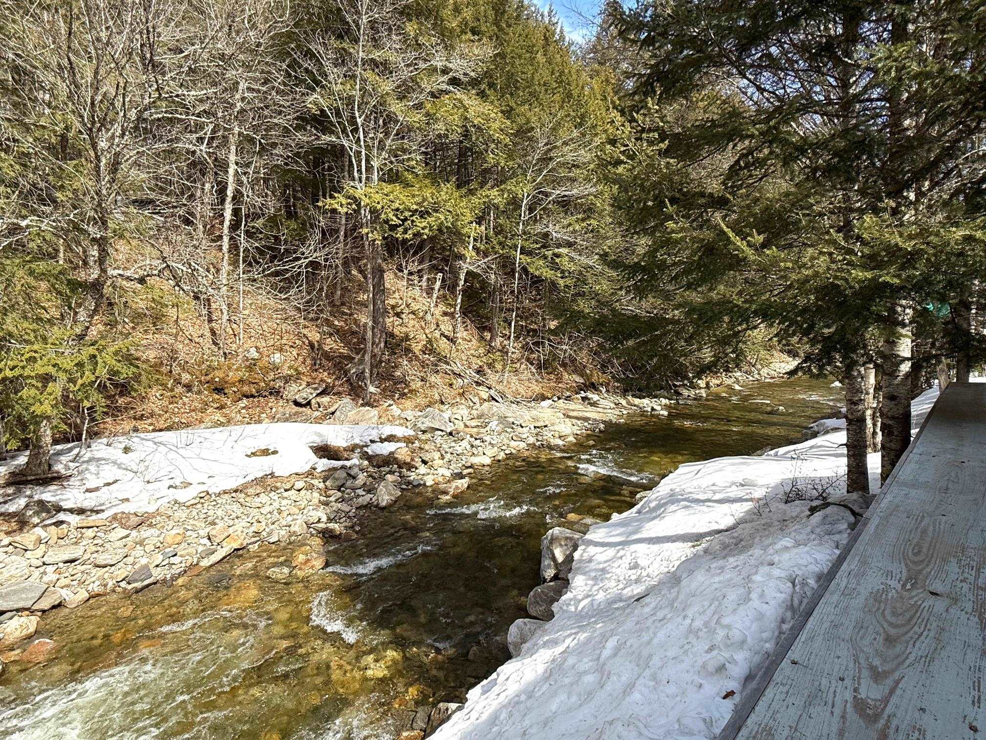 1829 West Jamaica Road Jamaica, VT 05343 - Photo 33 of 33