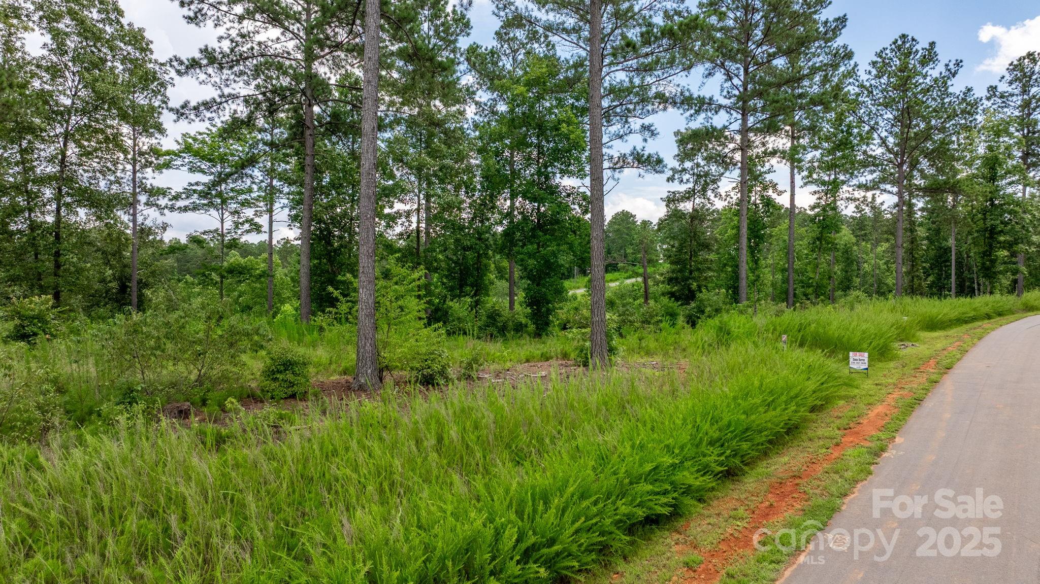 2194 Pikes Peak Ridge, Unit 156 Connelly Springs, NC 28612 - Photo 2 of 18