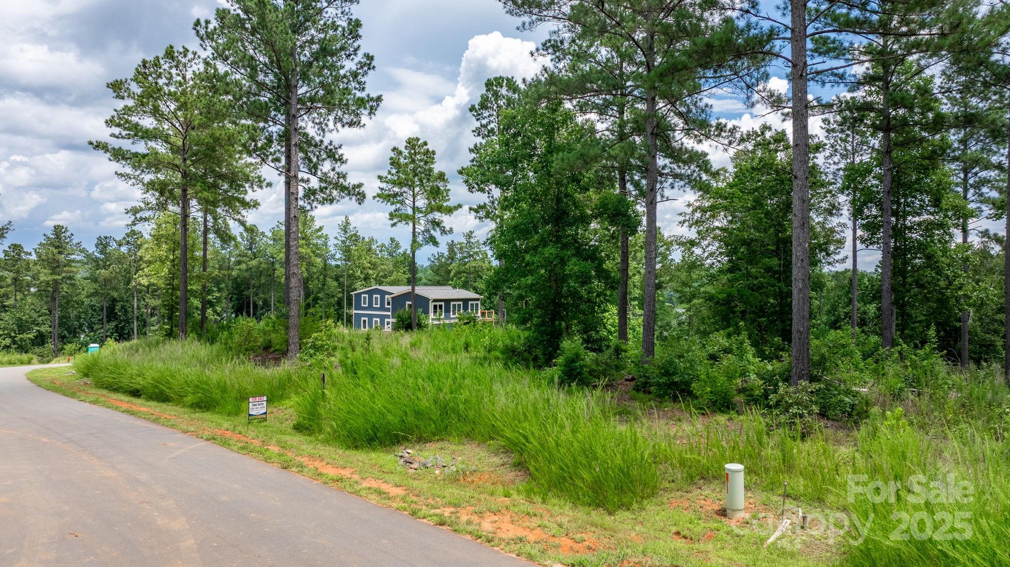 2194 Pikes Peak Ridge, Unit 156 Connelly Springs, NC 28612 - Photo 3 of 18
