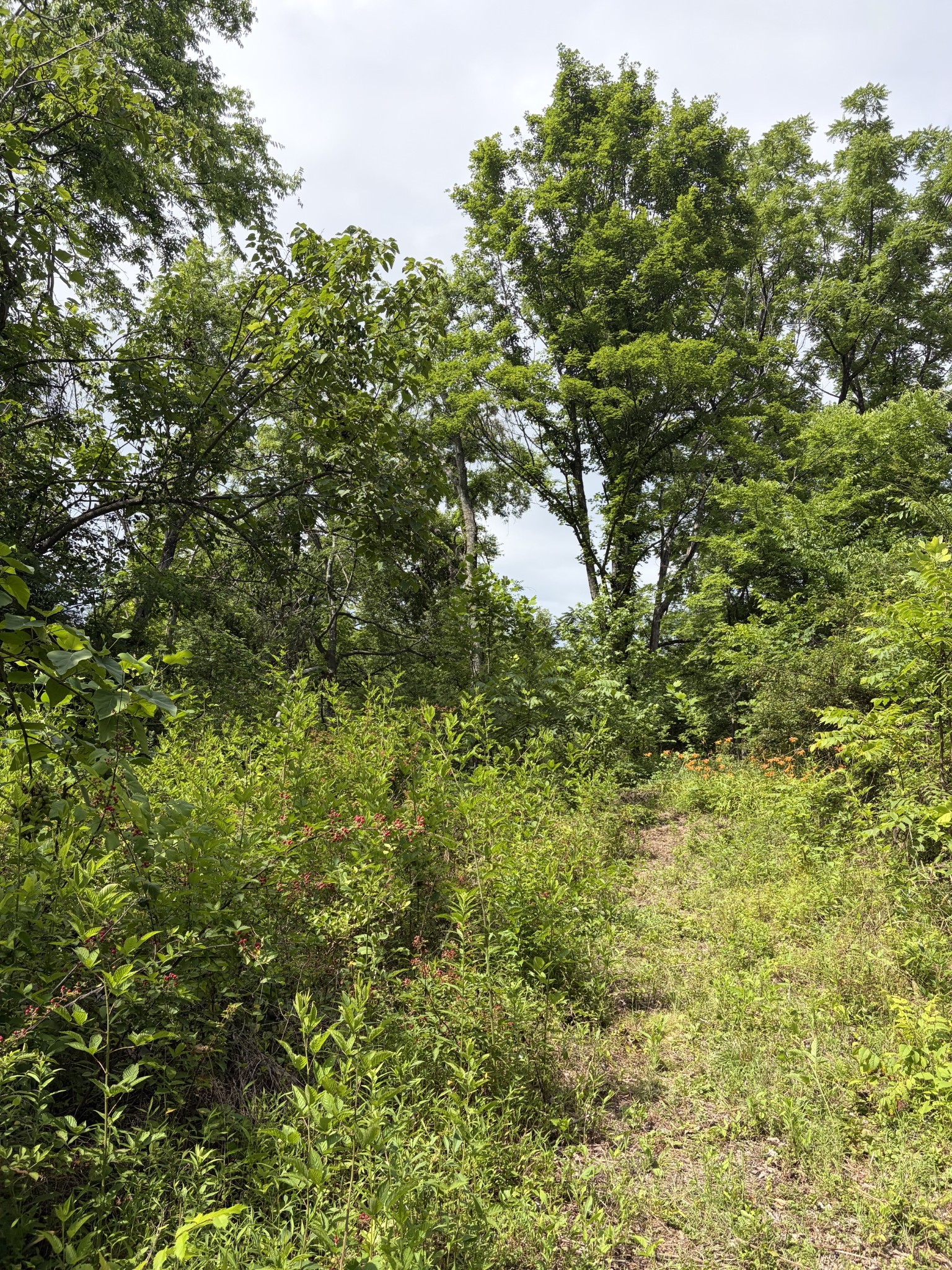 200 Robert Neal Durham Road Bethpage, TN 37022 - Photo 2 of 4