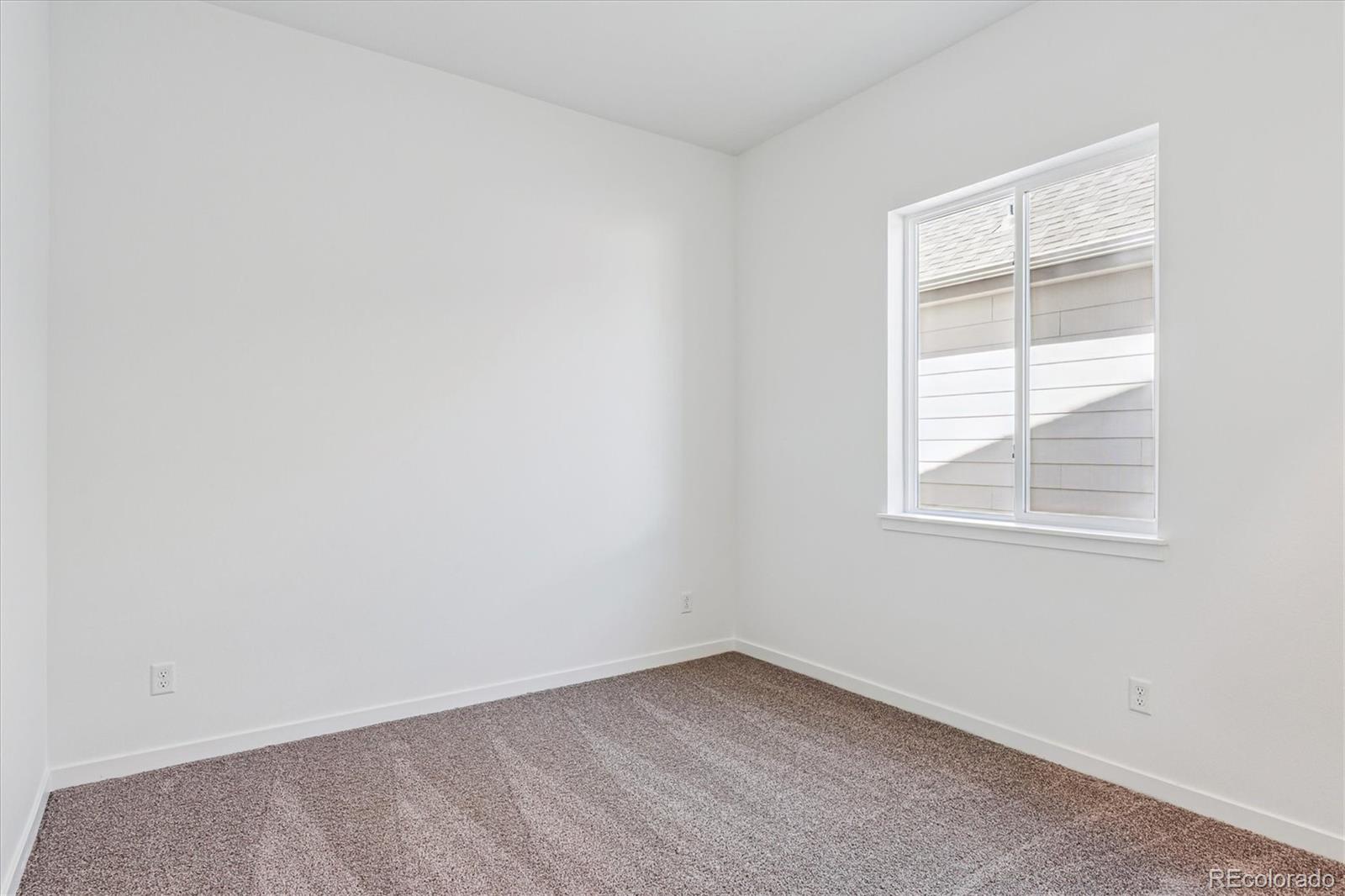 2590 West Bitterroot Place Highlands Ranch, CO 80129 - Photo 5 of 21