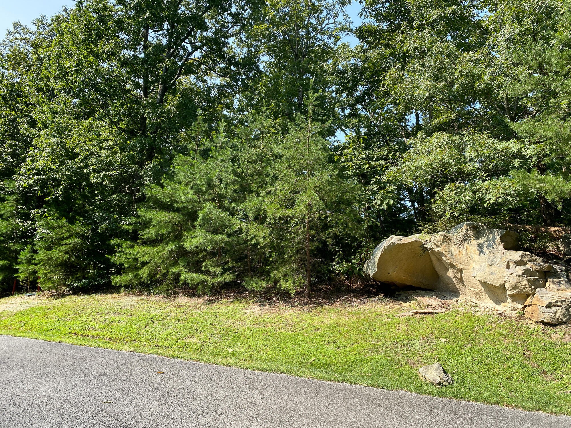 0 Old Rocky Trail Menlo, GA 30731 - Photo 1 of 27