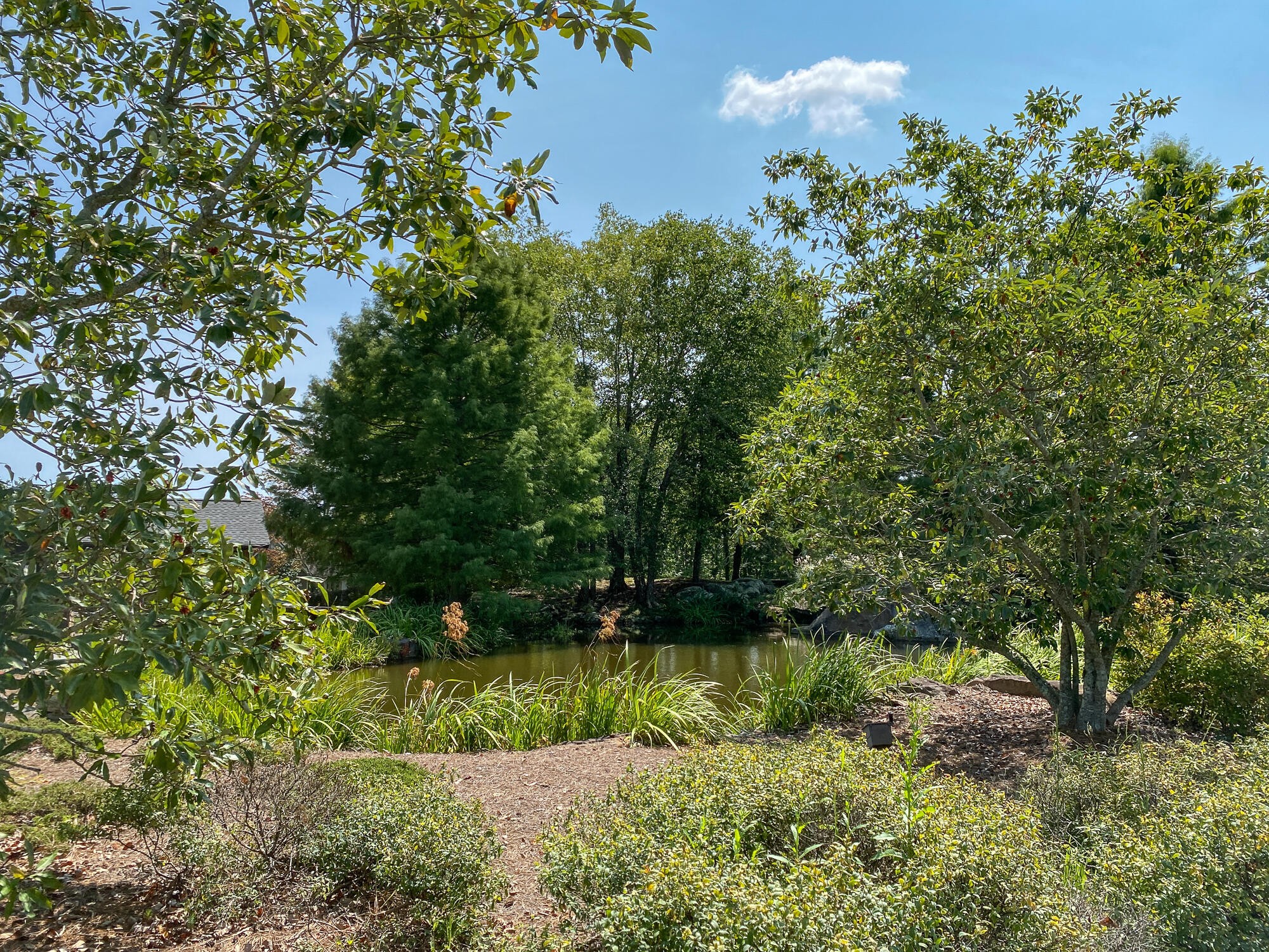 0 Old Rocky Trail Menlo, GA 30731 - Photo 23 of 27