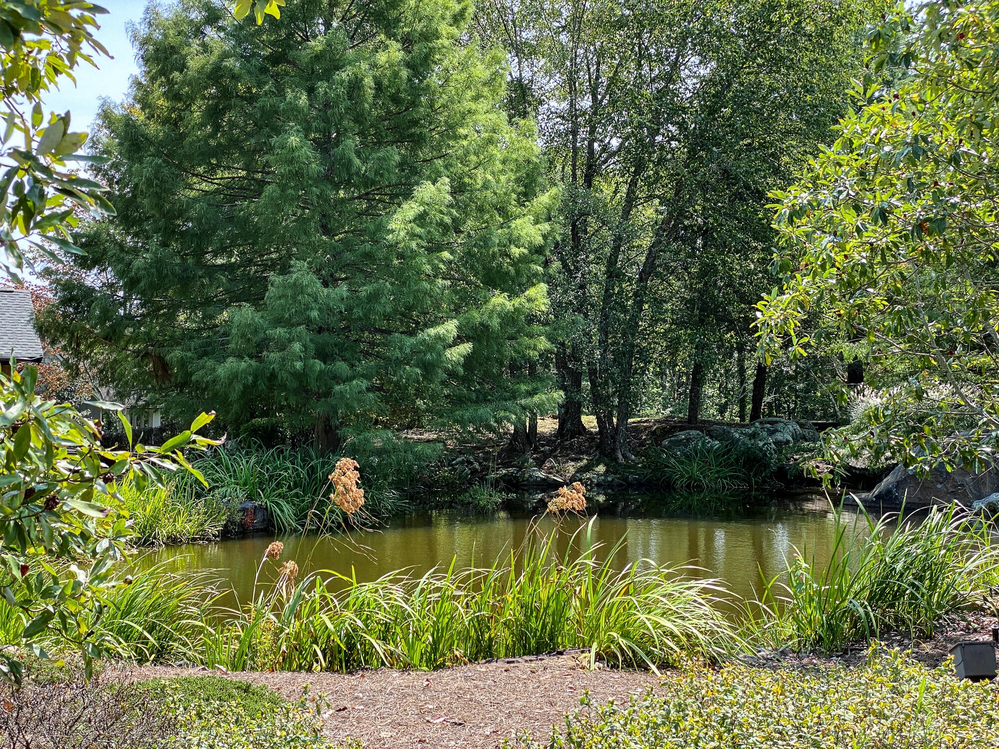 0 Old Rocky Trail Menlo, GA 30731 - Photo 24 of 27