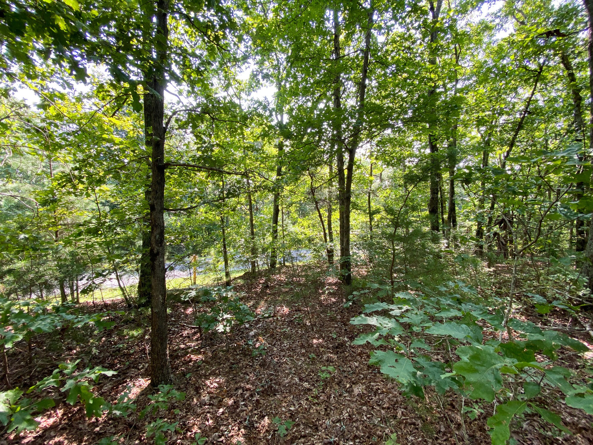 0 Old Rocky Trail Menlo, GA 30731 - Photo 4 of 27