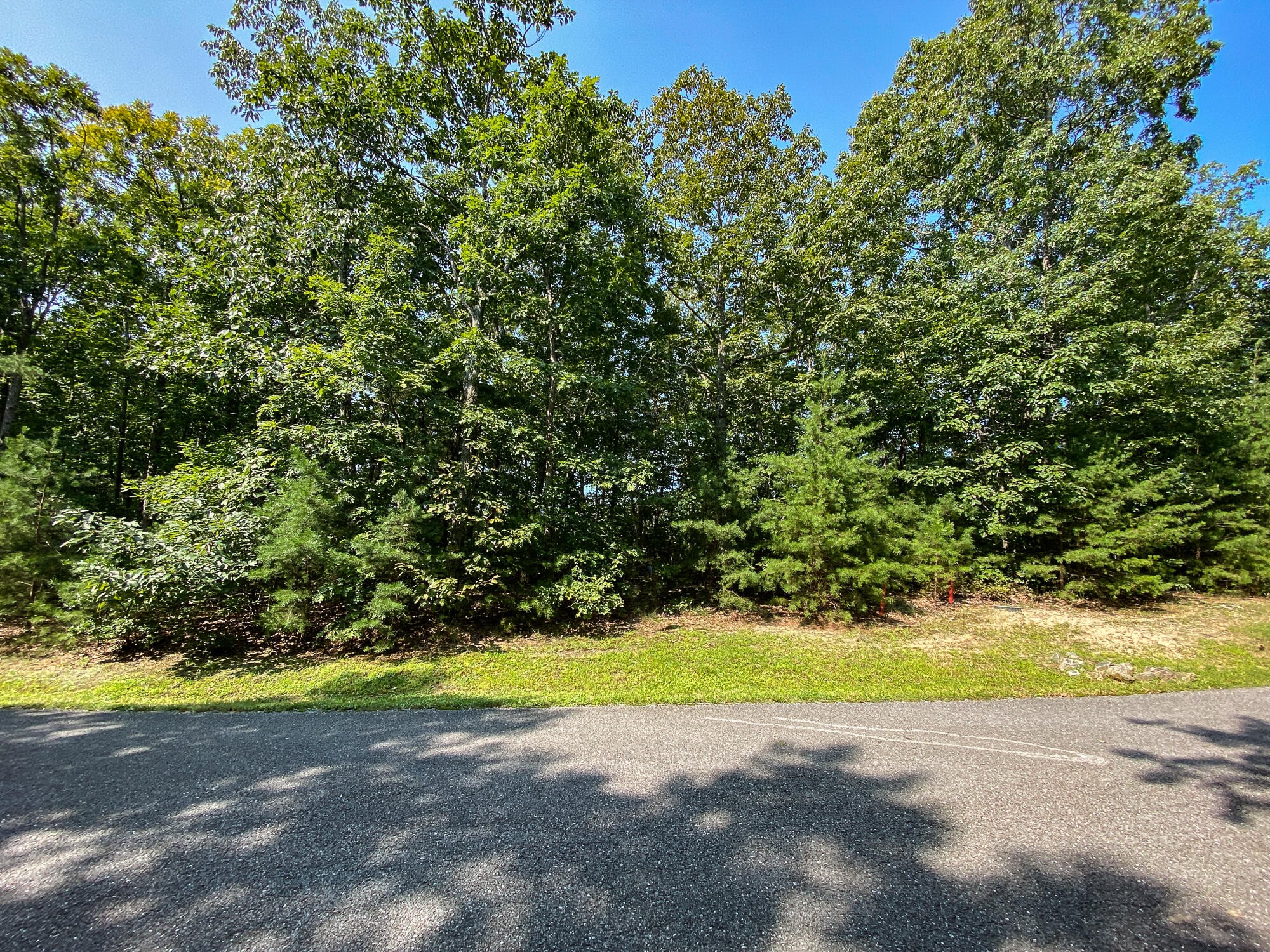 0 Old Rocky Trail Menlo, GA 30731 - Photo 5 of 27