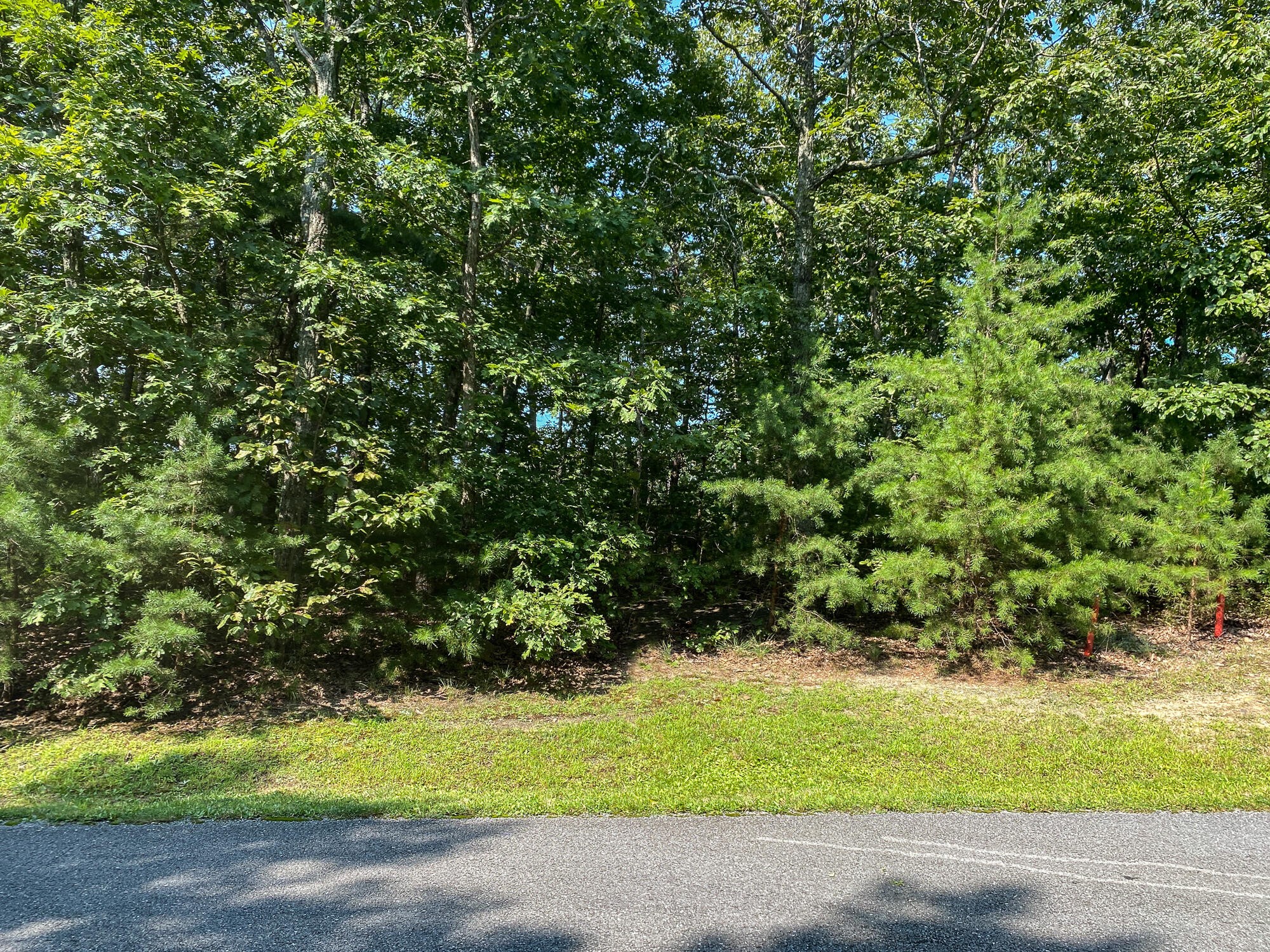 0 Old Rocky Trail Menlo, GA 30731 - Photo 6 of 27