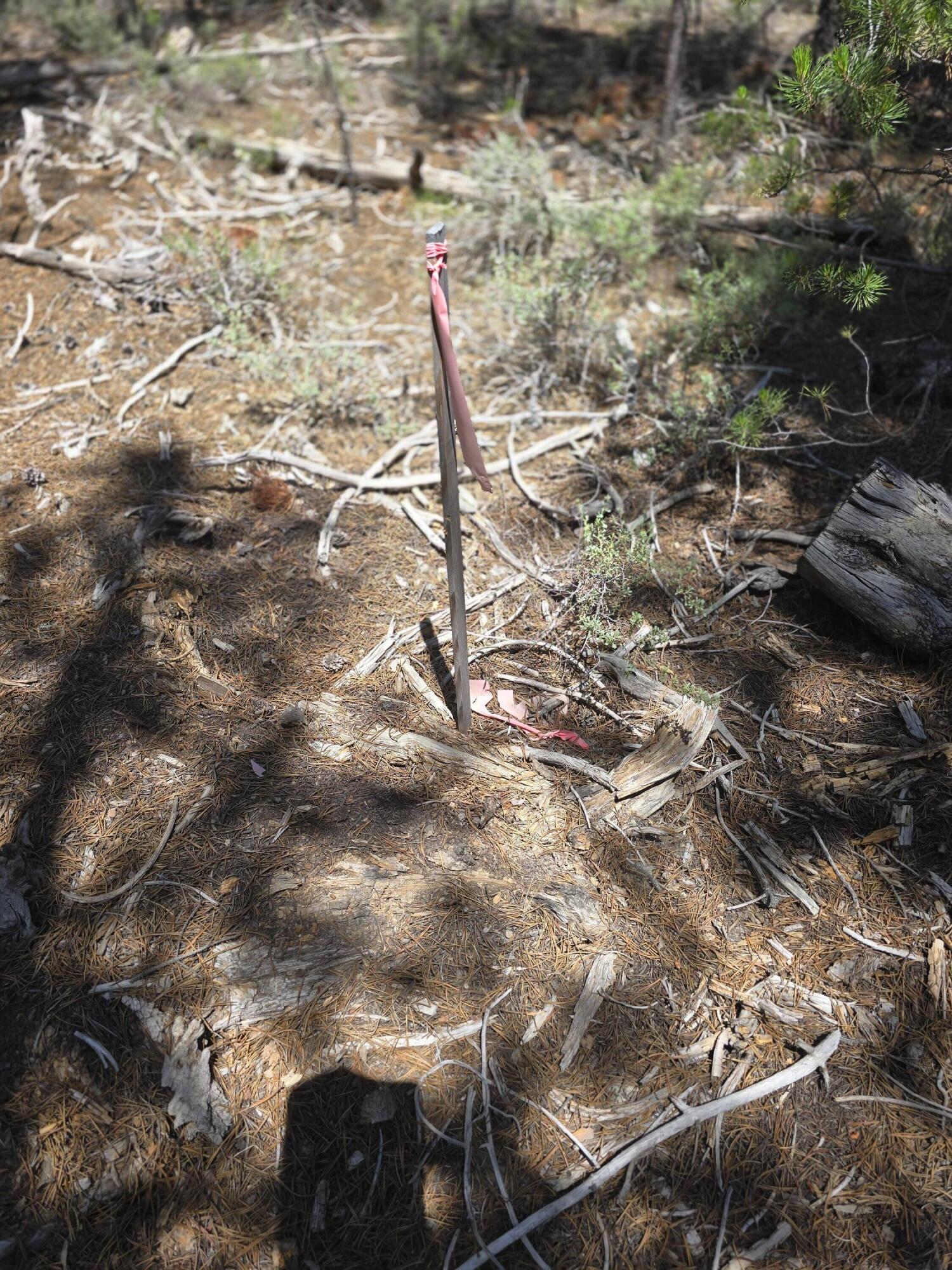52225 Lechner Lane La Pine, OR 97739 - Photo 17 of 17 These pink flag stakes are at the corners of property.