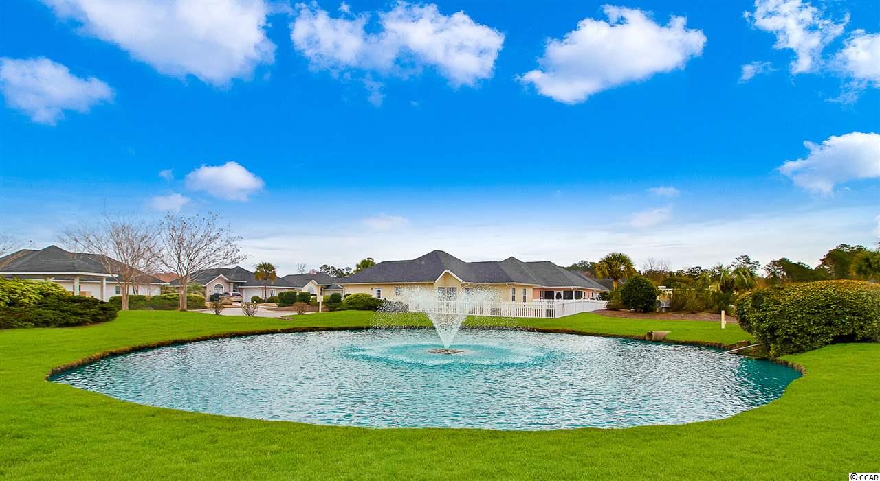 9843 Simonton Court Murrells Inlet, SC 29576 - Photo 19 of 20