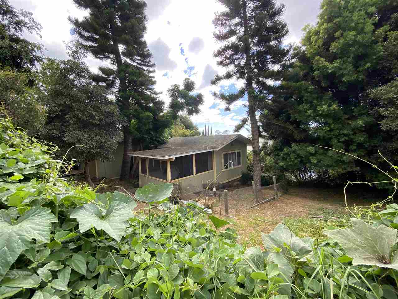 51 Kulalani Circle Kula, HI 96790 - Photo 5 of 30 a backyard of a house with table and chairs