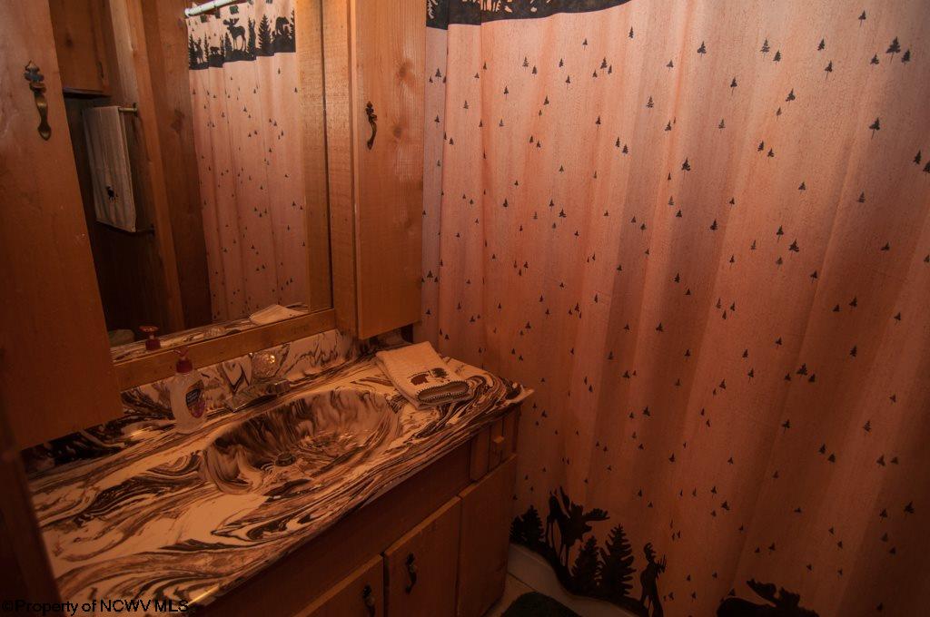 196 Bobcat Road Davis, WV 26260 - Photo 13 of 20 Gallery Image 13