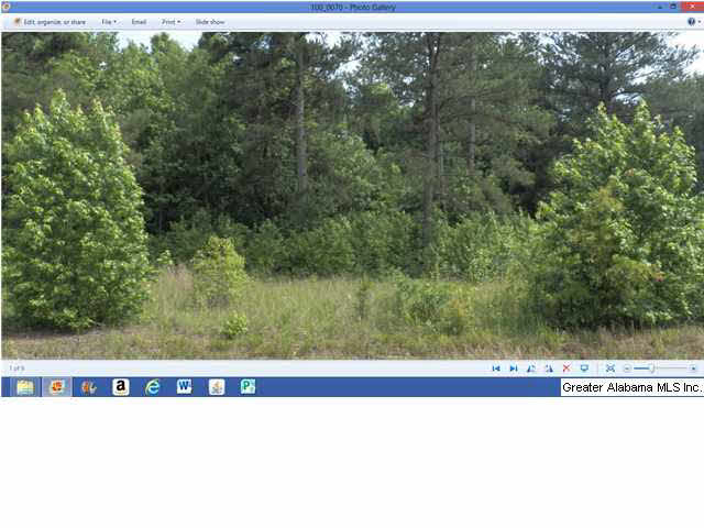 0 Kirkseys Bend Ohatchee, AL 36271 - Photo 2 of 8