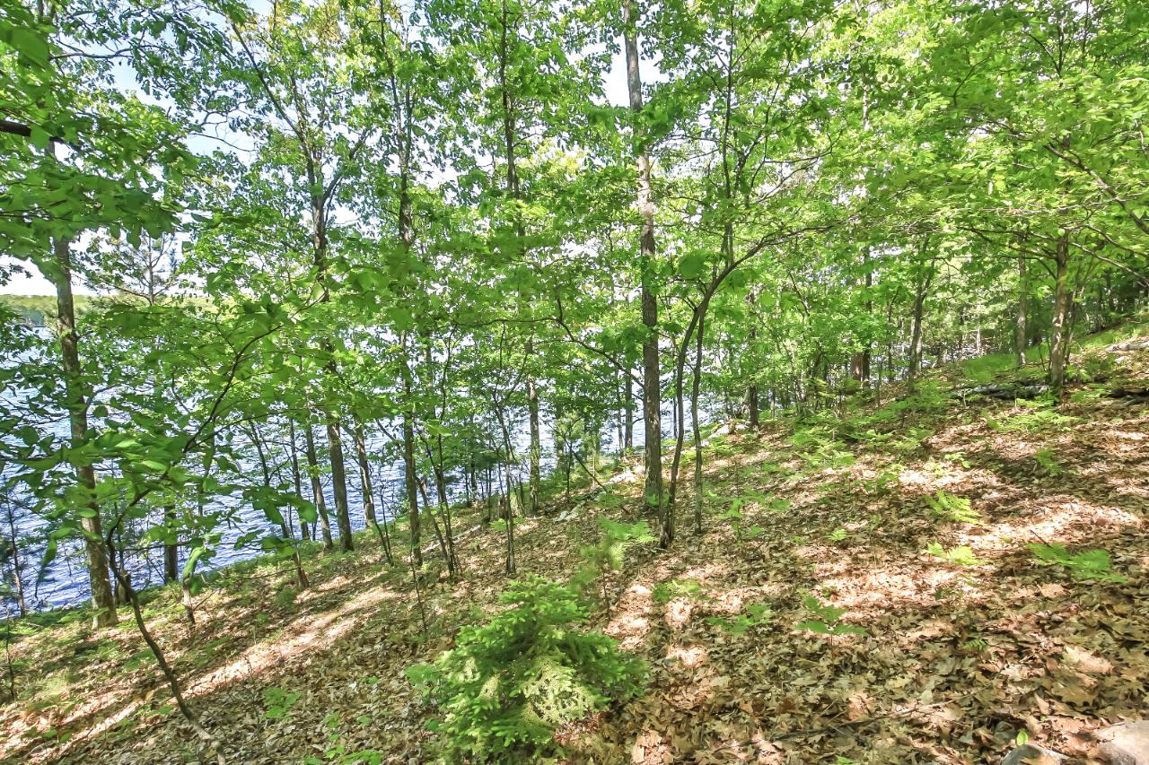 7863 Alva Lake Road Lake Tomahawk, WI 54539 - Photo 25 of 30 Gallery Image 25