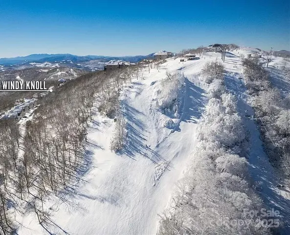 a kitchen with a stove a sink and a refrigerator