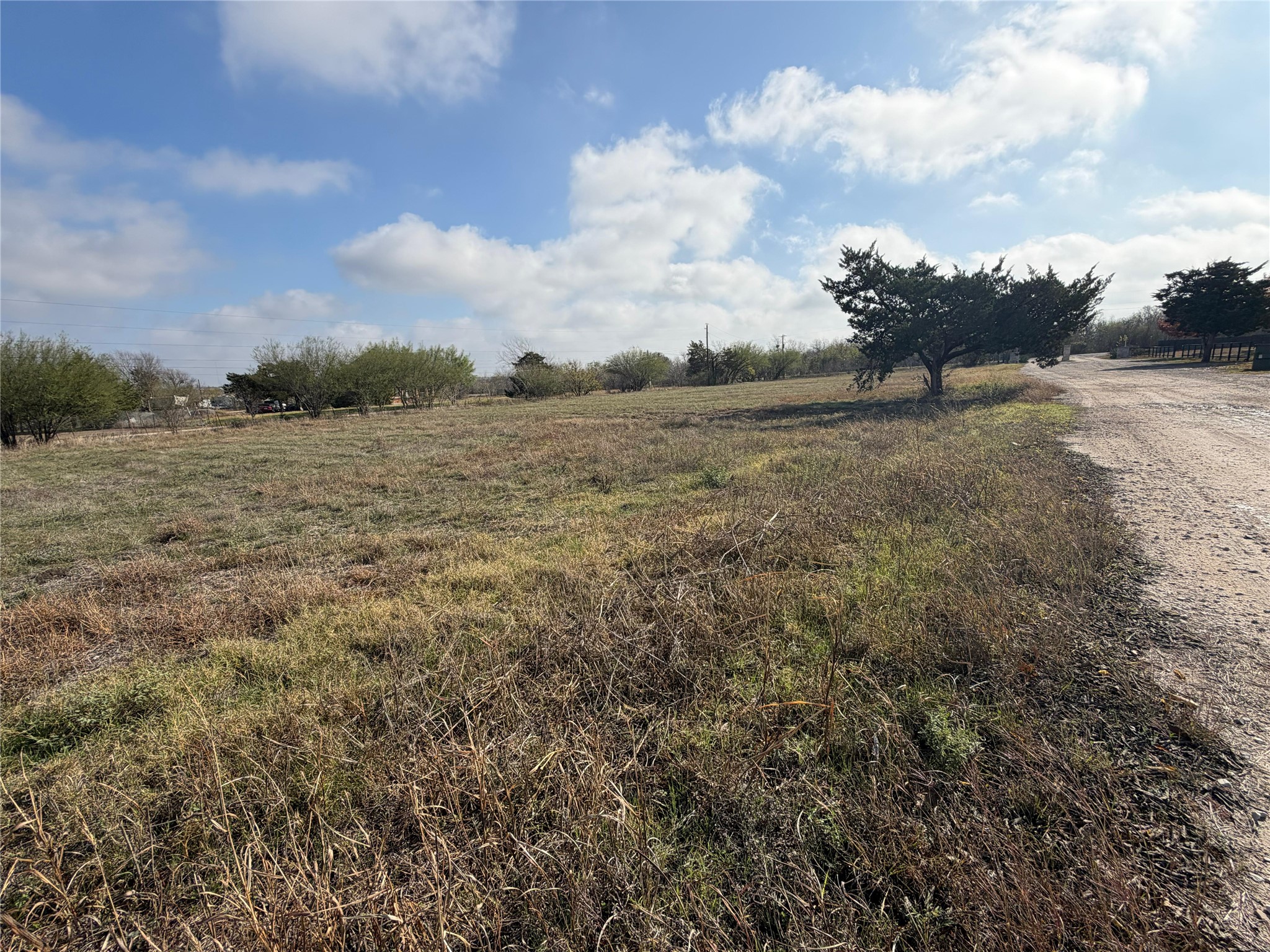 11622 A Doyle Overton Road Austin, TX 78719 - Photo 6 of 10 a view of a field with trees in background
