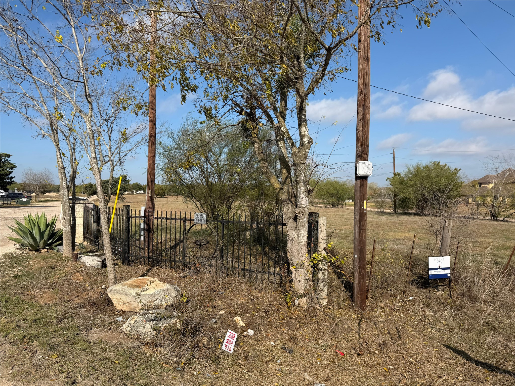 11622 A Doyle Overton Road Austin, TX 78719 - Photo 9 of 10 a view of a park with large trees