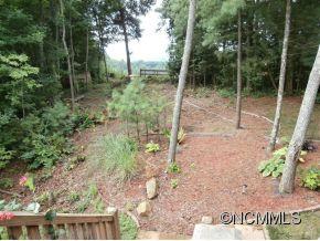994 Calvin Edney Road Mars Hill, NC 28754 - Photo 6 of 23 Gallery Image 6