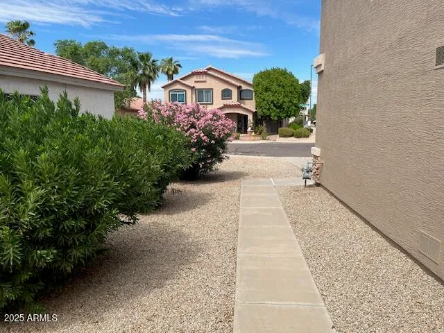 a view of a backyard