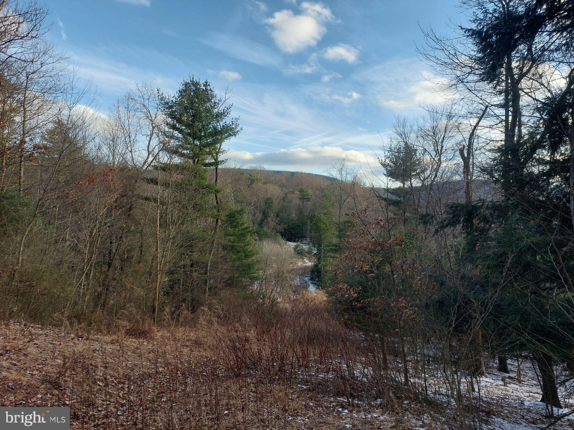 0 Gordon Road Ashland, PA 17921 - Photo 1 of 5