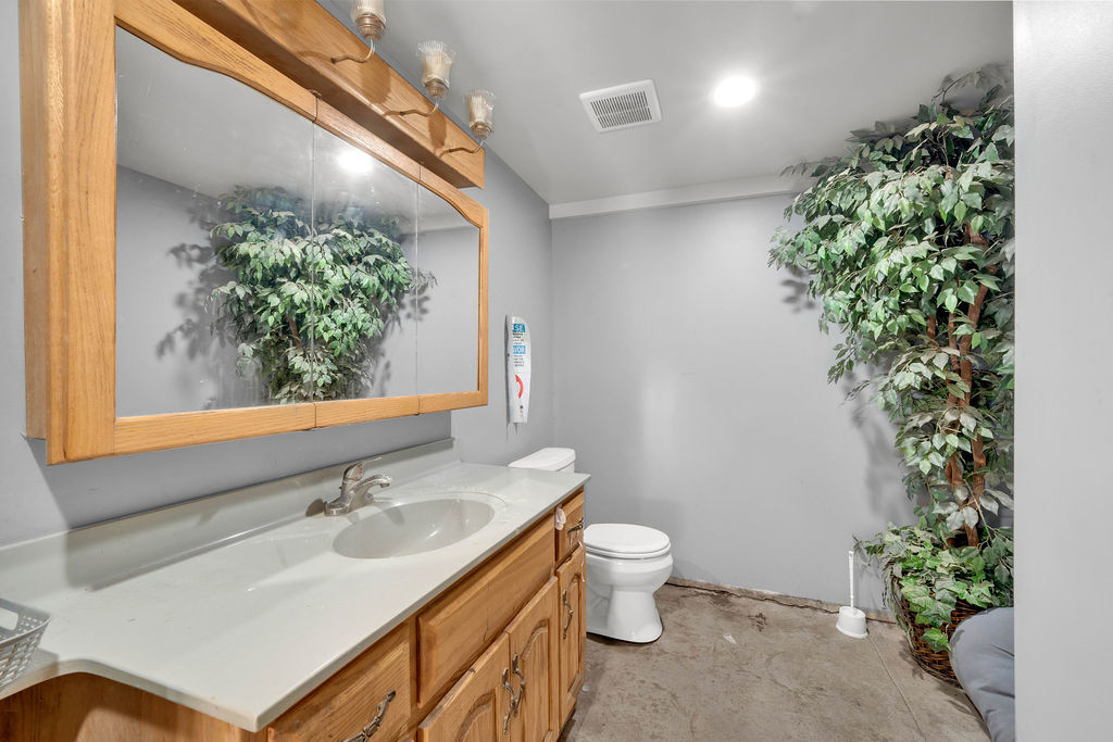 7245 West Dralle Road Monee, IL 60449 - Photo 33 of 73 a bathroom with a toilet sink and mirror