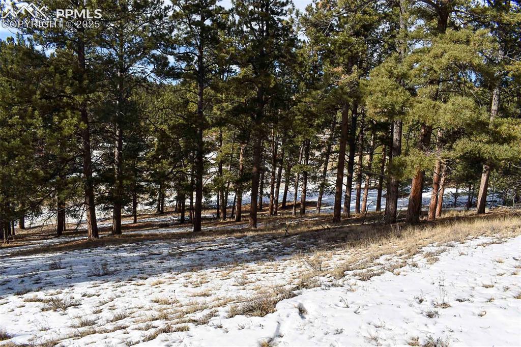 6th Street Guffey, CO 80820 - Photo 21 of 28