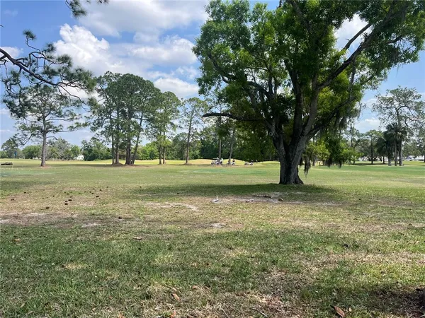 a view of outdoor space with trees