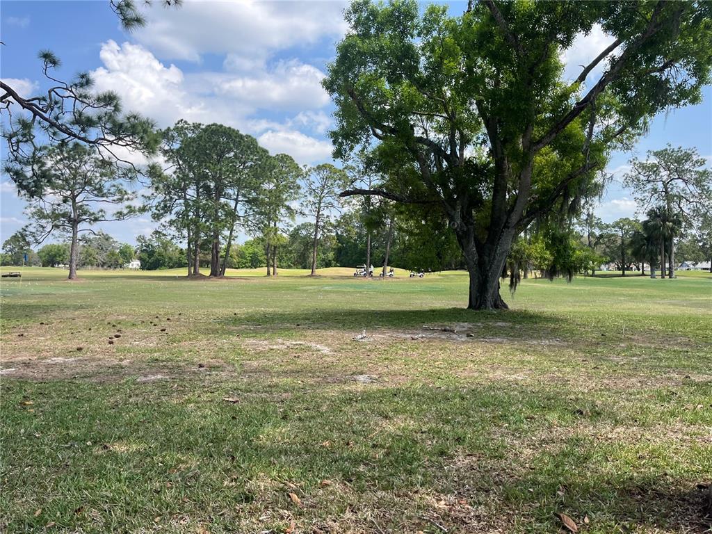 11718 Bayonet Lane, Unit A New Port Richey, FL 34654 - Photo 33 of 41 a view of outdoor space with trees