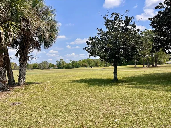 a view of a yard with a tree