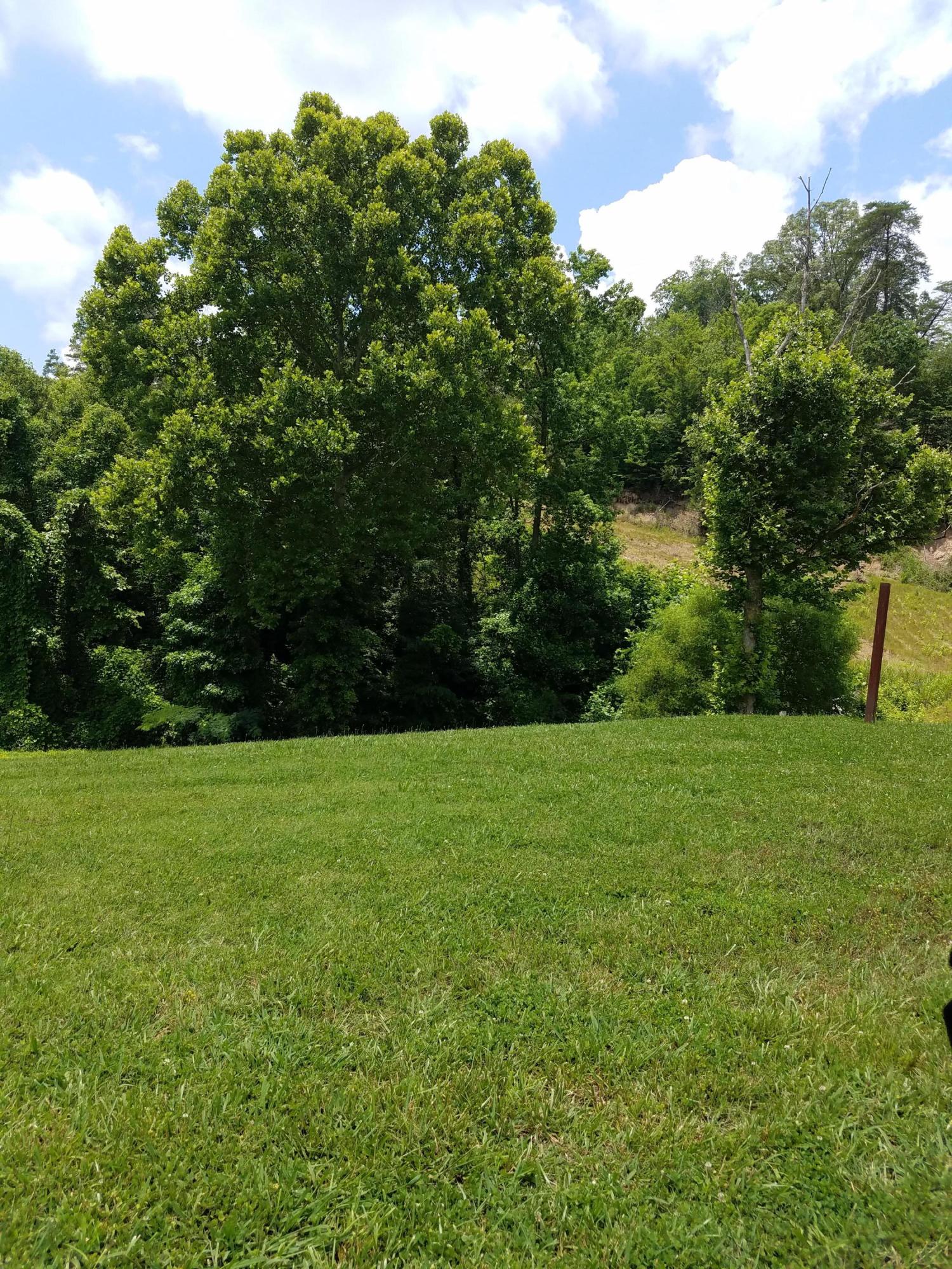 9305 Pedigo Road Powell, TN 37849 - Photo 1 of 3 20170614_131955