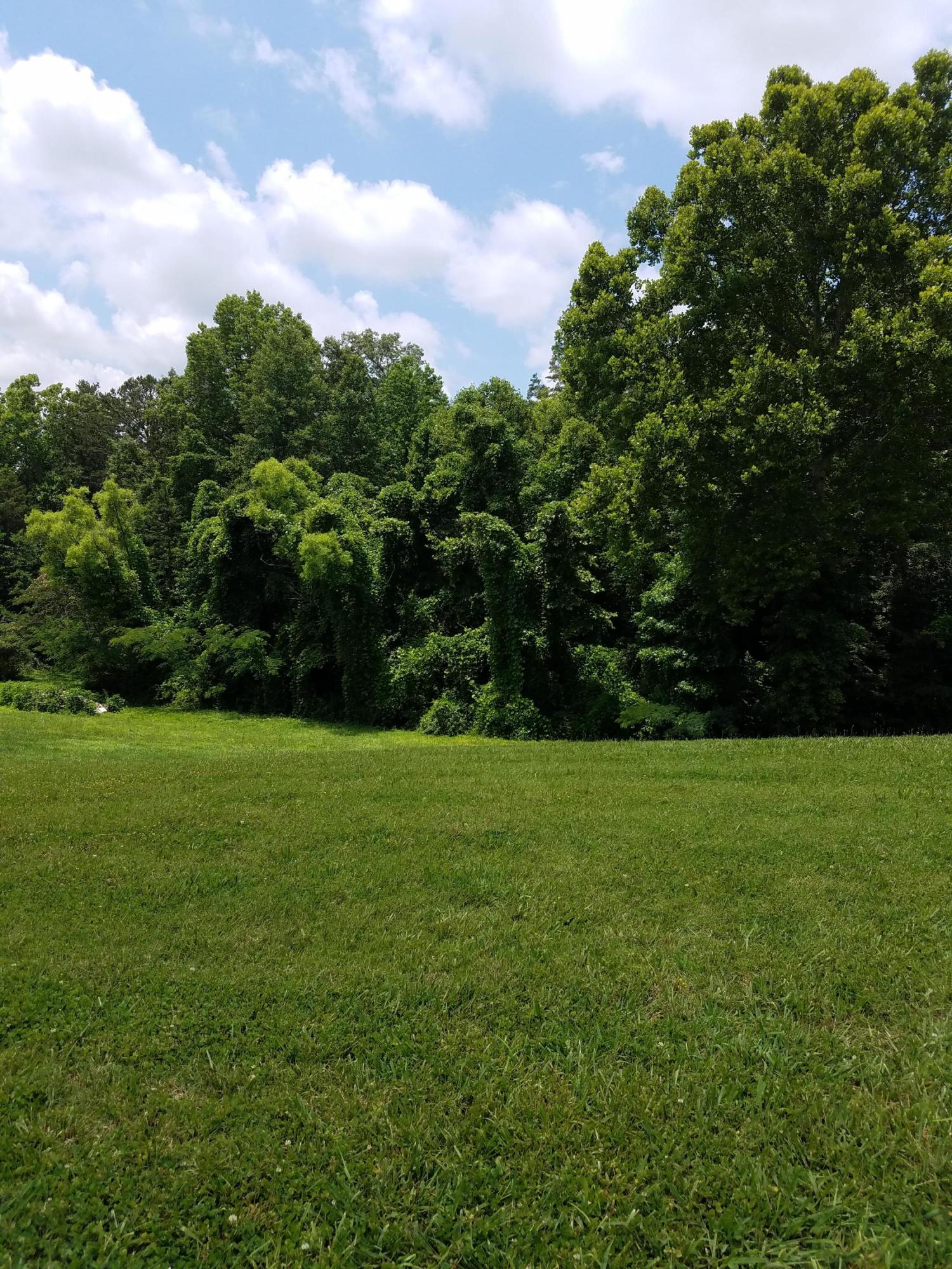 9305 Pedigo Road Powell, TN 37849 - Photo 2 of 3 20170614_132000