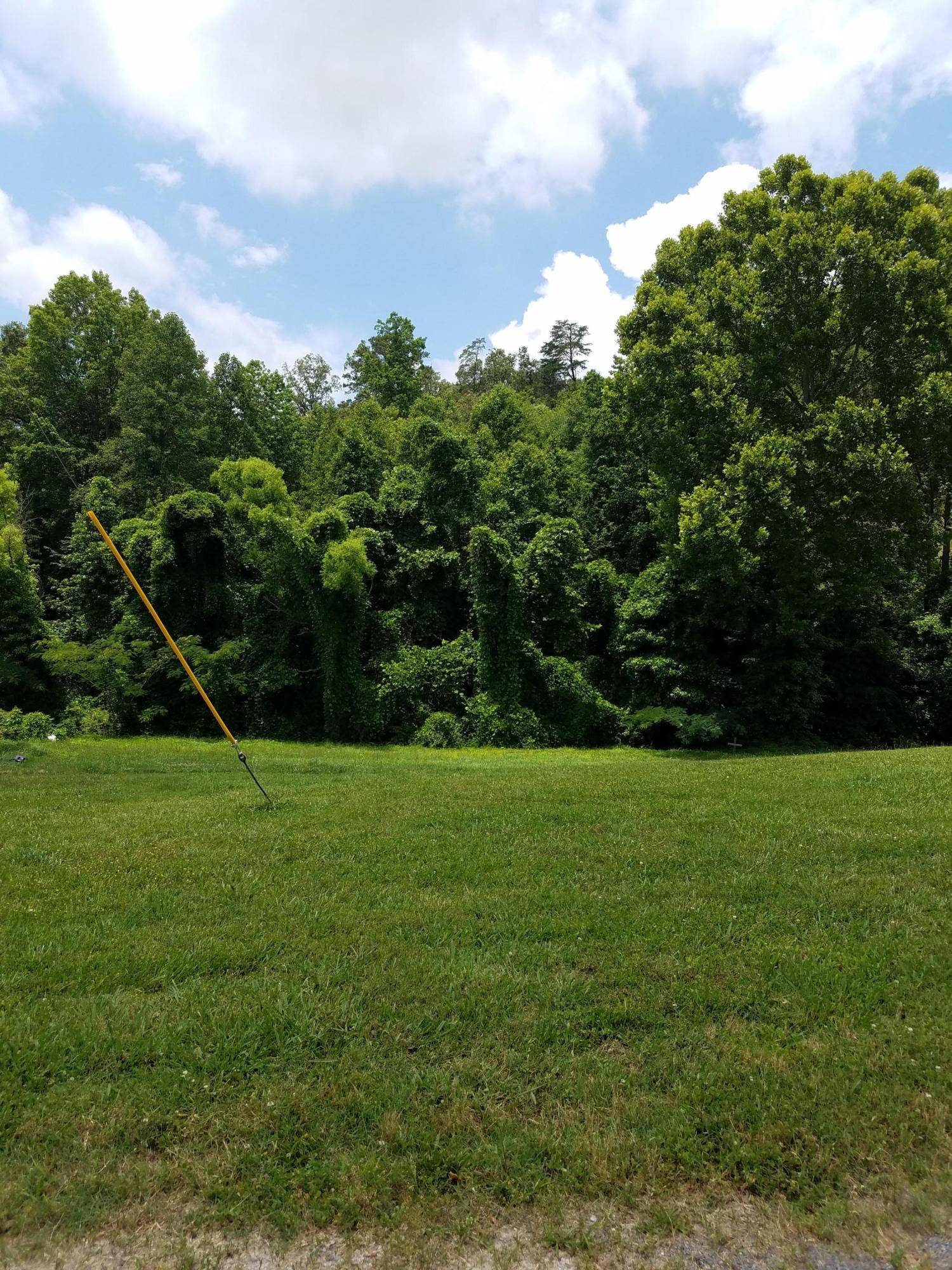 9305 Pedigo Road Powell, TN 37849 - Photo 3 of 3 20170614_132022