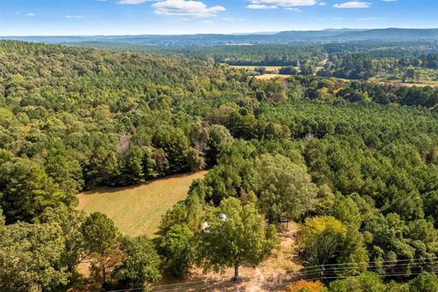 a view of a yard of a building