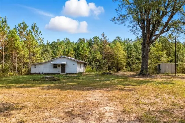 a large tree in middle of the green field