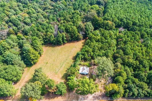 a view of a tree in a garden