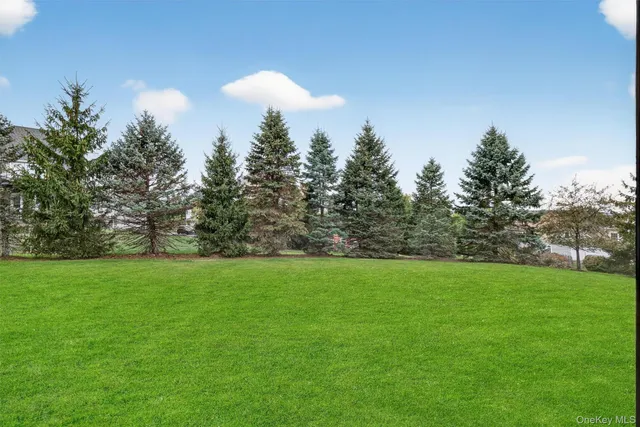 a view of a big yard with plants and large trees