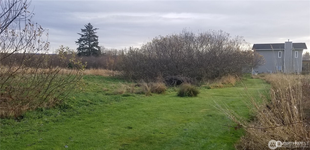 254 Stringtown Road, Unit UPPR Ilwaco, WA 98624 - Photo 2 of 7 a view of a lush green space