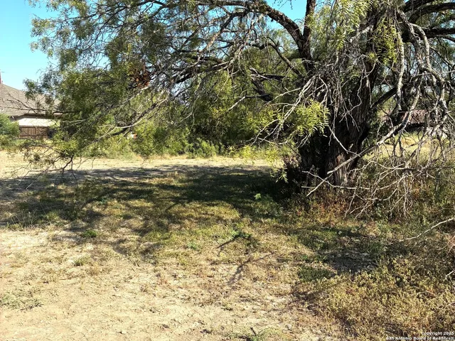 a view of outdoor space and a yard
