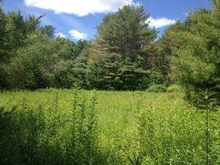 Lot 0 River Road Bowdoinham, ME 04008 - Photo 13 of 16 Photo